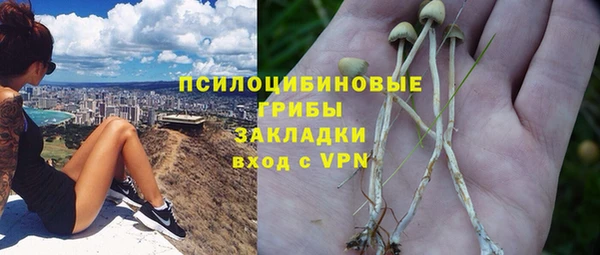 соль курить ск Алзамай