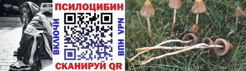 Галлюциногенные грибы ЛСД  OMG вход  Кемь 